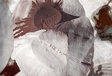 J&eacute;r&eacute;mie LENOIR